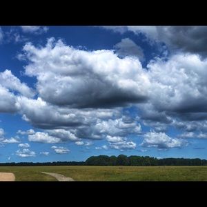 Meet your Posher, Paul